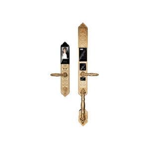 Khóa Vân Tay Tân Cổ Điển Kassler KL-989 F
