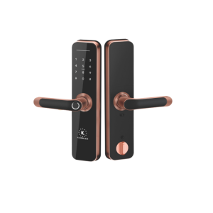 Khóa cửa vân tay Kassler KL-668